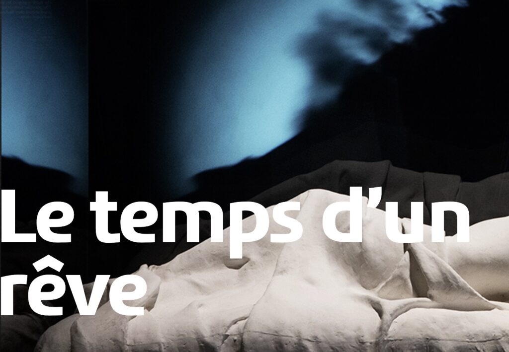 Étude scientifique au Musée des Confluences