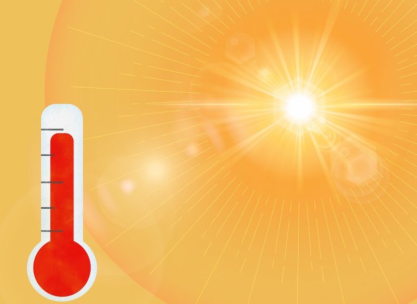 Périodes de canicule, nous avons besoin de votre aide