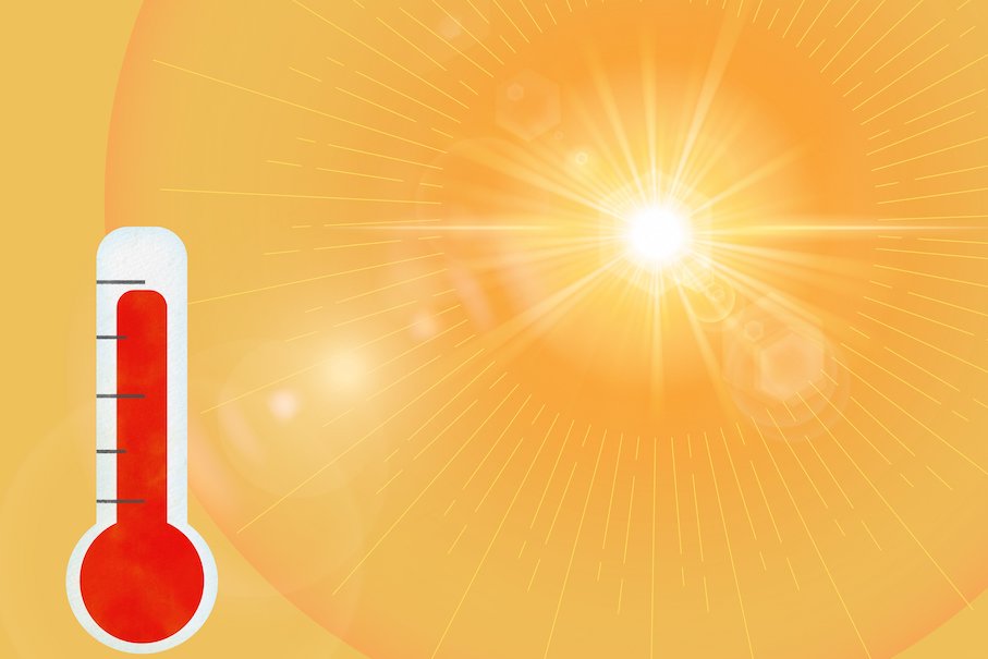 Canicule 2026