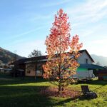 FAM LE VALLON DE SESAME